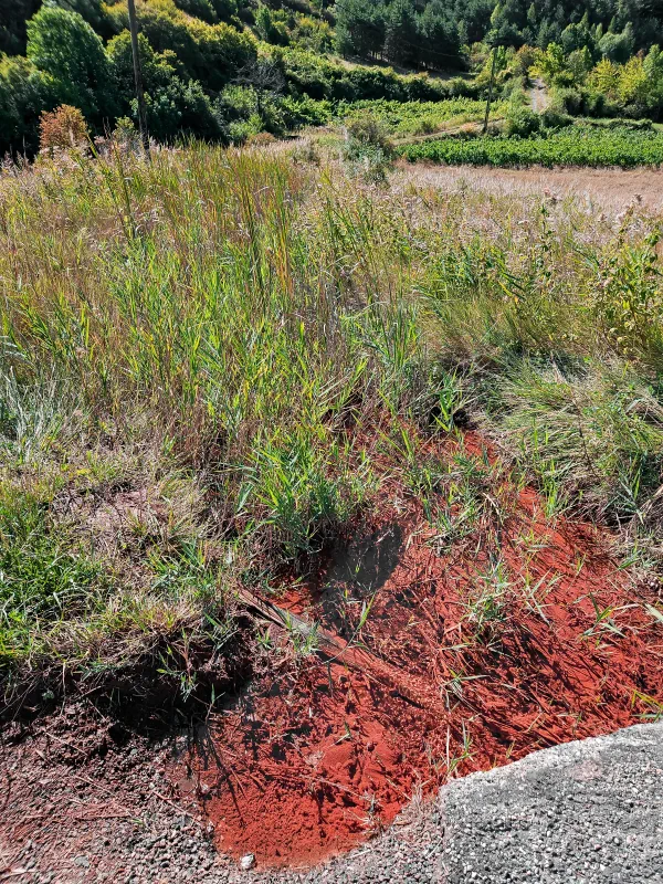 Source des Vignes au Plan de Phazy