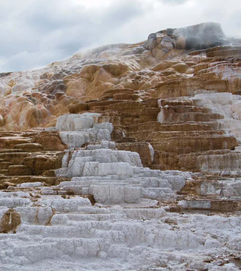 MAMMOTH HOT SPRINGS - Terrasses en travertin