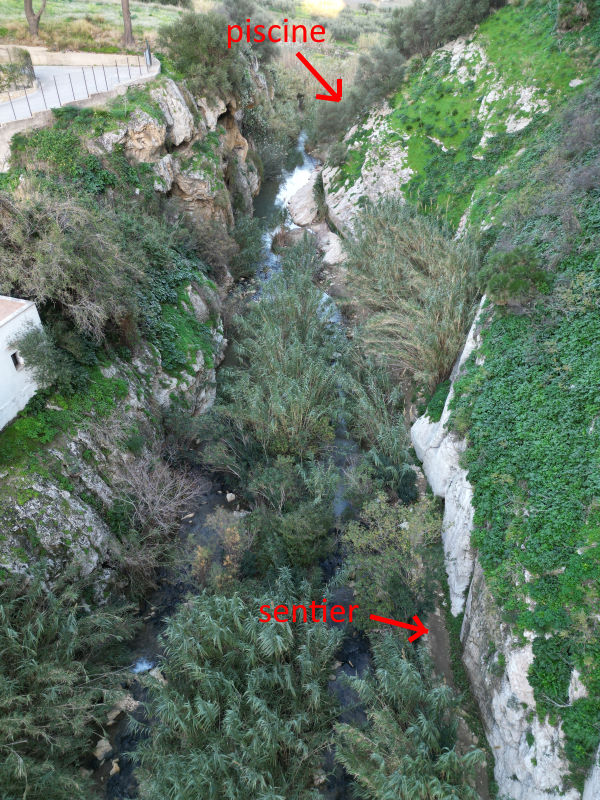 Canyon et sources d'eau chaude de Segesta