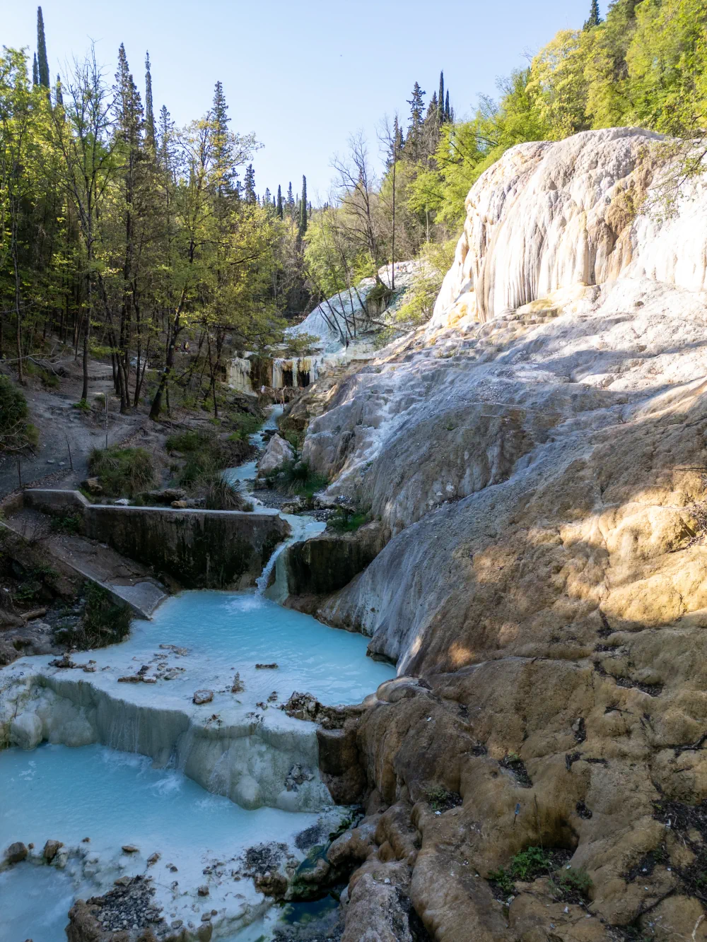 Ruisseau thermal s'écoulant entre forêt et la Balena Bianca à bagni San Filippo