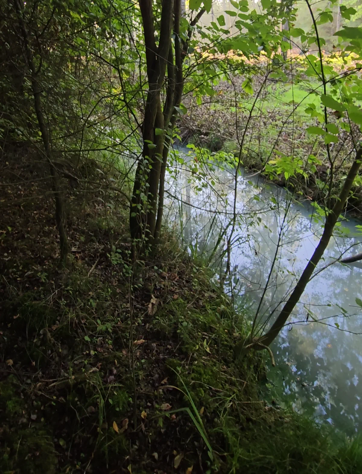 Rigole d'eau thermale du Trou de Madame à Préchacq-les-Bains